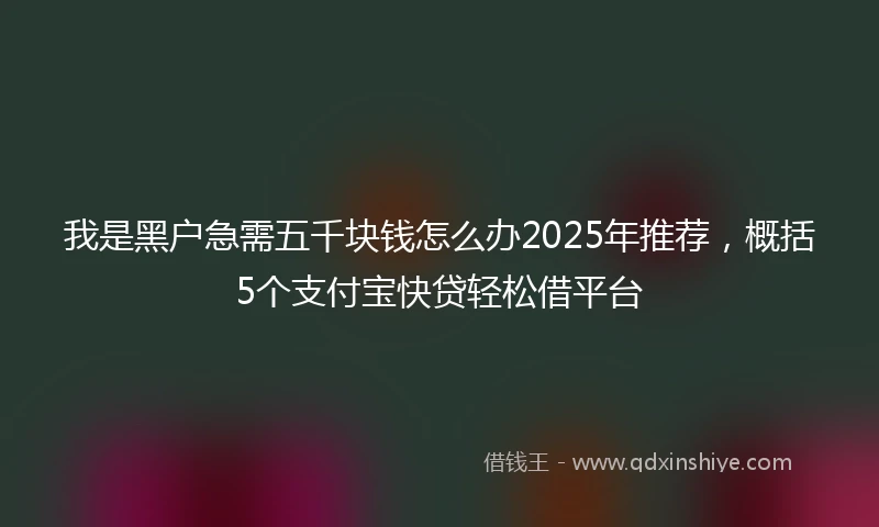 我是黑户急需五千块钱怎么办2025年推荐，概括5个支付宝快贷轻松借平台