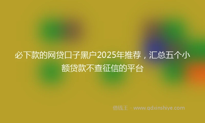 必下款的网贷口子黑户2025年推荐，汇总五个小额贷款不查征信的平台