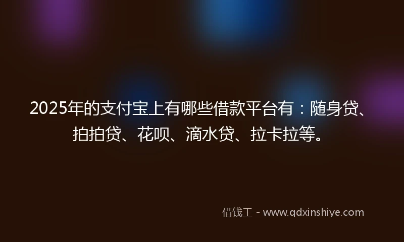 2025年的支付宝上有哪些借款平台有：随身贷、拍拍贷、花呗、滴水贷、拉卡拉等。