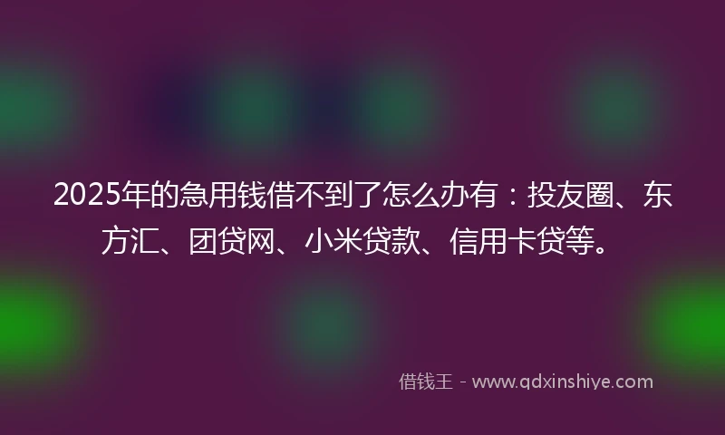 2025年的急用钱借不到了怎么办有：投友圈、东方汇、团贷网、小米贷款、信用卡贷等。