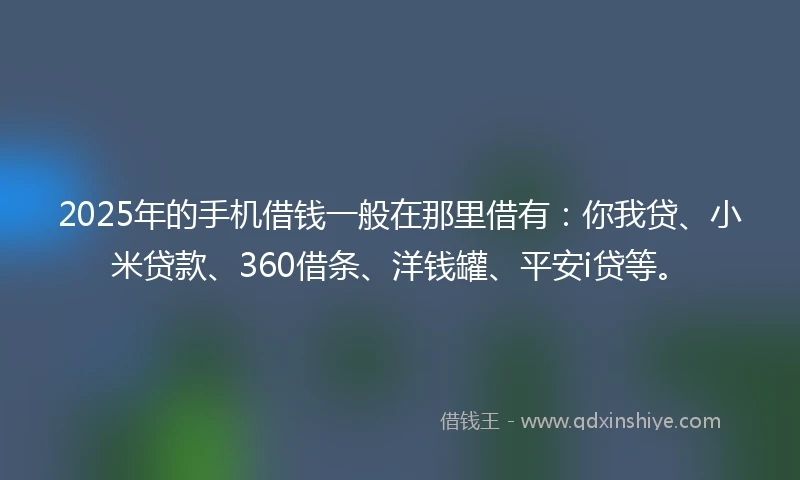 2025年的手机借钱一般在那里借有：你我贷、小米贷款、360借条、洋钱罐、平安i贷等。