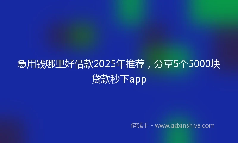 急用钱哪里好借款2025年推荐，分享5个5000块贷款秒下app