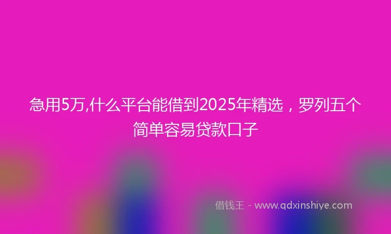 急用5万,什么平台能借到2025年精选，罗列五个简单容易贷款口子