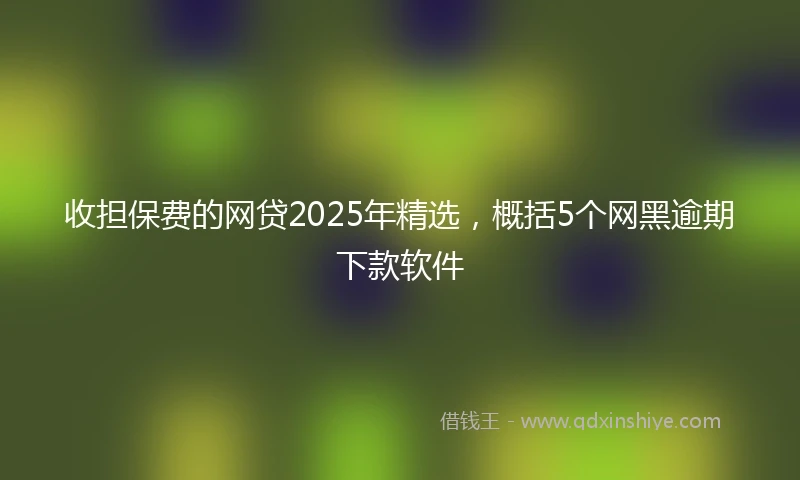 收担保费的网贷2025年精选，概括5个网黑逾期下款软件