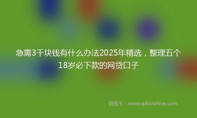 急需3千块钱有什么办法2025年精选，整理五个18岁必下款的网贷口子