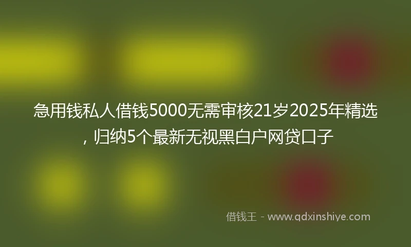 急用钱私人借钱5000无需审核21岁2025年精选，归纳5个最新无视黑白户网贷口子