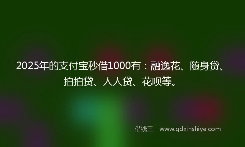 2025年的支付宝秒借1000有：融逸花、随身贷、拍拍贷、人人贷、花呗等。