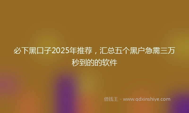 必下黑口子2025年推荐，汇总五个黑户急需三万秒到的的软件