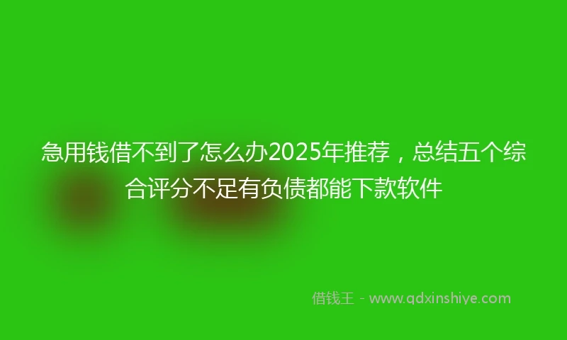 急用钱借不到了怎么办2025年推荐，总结五个综合评分不足有负债都能下款软件