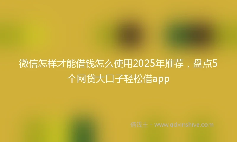 微信怎样才能借钱怎么使用2025年推荐，盘点5个网贷大口子轻松借app