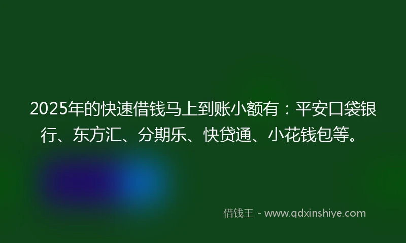 2025年的快速借钱马上到账小额有：平安口袋银行、东方汇、分期乐、快贷通、小花钱包等。