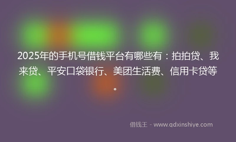 2025年的手机号借钱平台有哪些有：拍拍贷、我来贷、平安口袋银行、美团生活费、信用卡贷等。