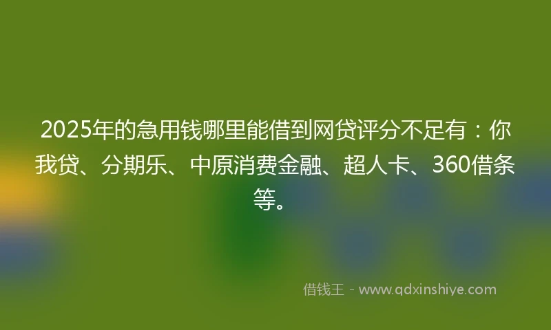 2025年的急用钱哪里能借到网贷评分不足有：你我贷、分期乐、中原消费金融、超人卡、360借条等。