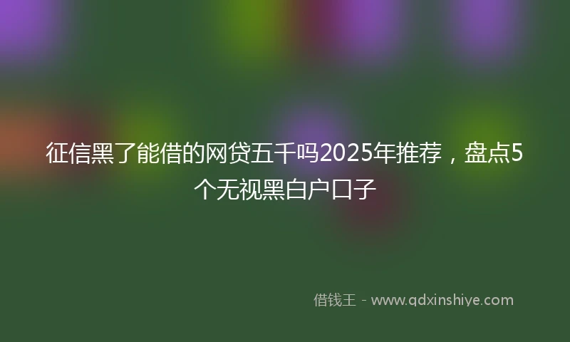 征信黑了能借的网贷五千吗2025年推荐，盘点5个无视黑白户口子