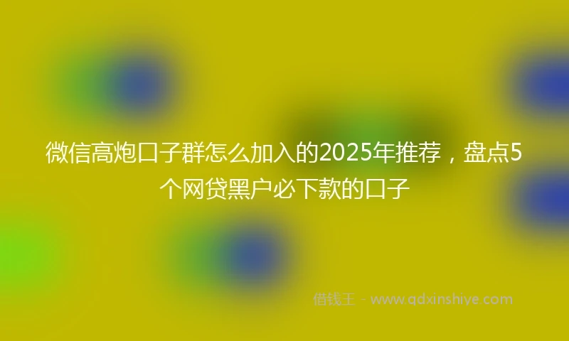 微信高炮口子群怎么加入的2025年推荐，盘点5个网贷黑户必下款的口子