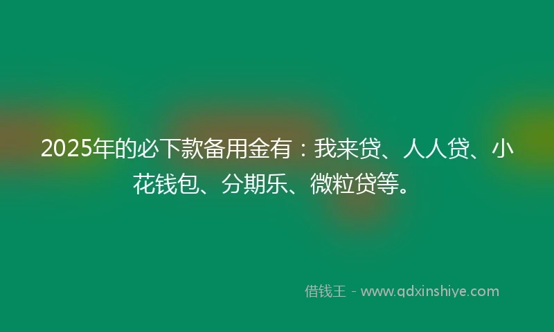 2025年的必下款备用金有：我来贷、人人贷、小花钱包、分期乐、微粒贷等。
