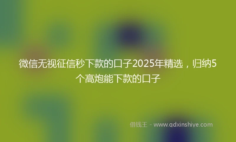 微信无视征信秒下款的口子2025年精选，归纳5个高炮能下款的口子