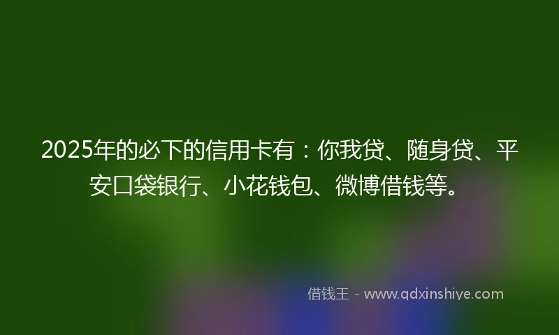 2025年的必下的信用卡有：你我贷、随身贷、平安口袋银行、小花钱包、微博借钱等。