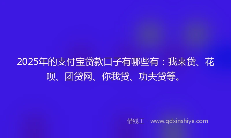 2025年的支付宝贷款口子有哪些有：我来贷、花呗、团贷网、你我贷、功夫贷等。
