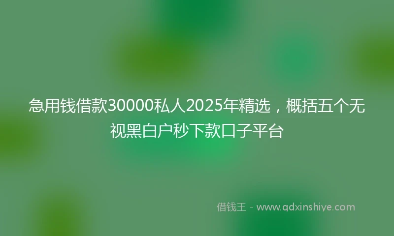 急用钱借款30000私人2025年精选，概括五个无视黑白户秒下款口子平台
