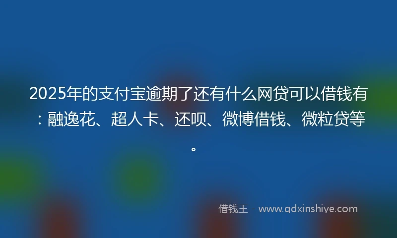 2025年的支付宝逾期了还有什么网贷可以借钱有：融逸花、超人卡、还呗、微博借钱、微粒贷等。