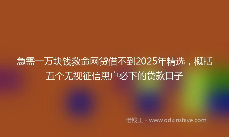 急需一万块钱救命网贷借不到2025年精选，概括五个无视征信黑户必下的贷款口子