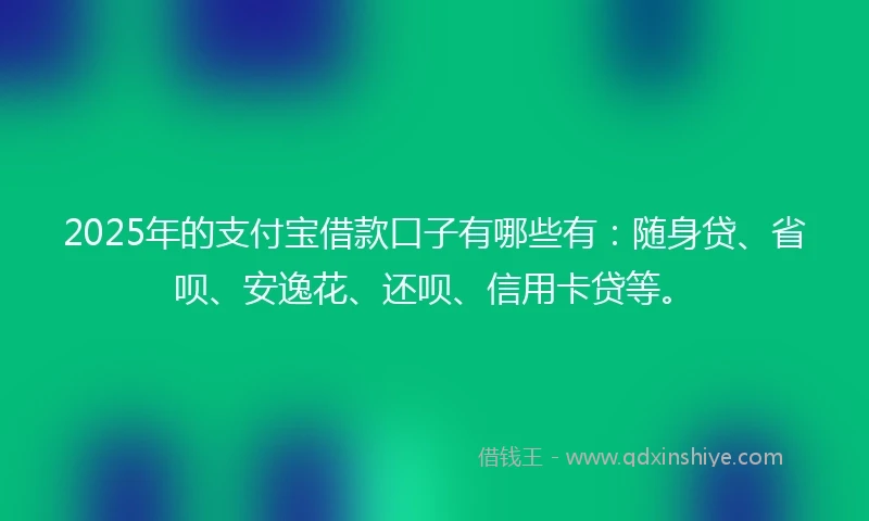 2025年的支付宝借款口子有哪些有：随身贷、省呗、安逸花、还呗、信用卡贷等。