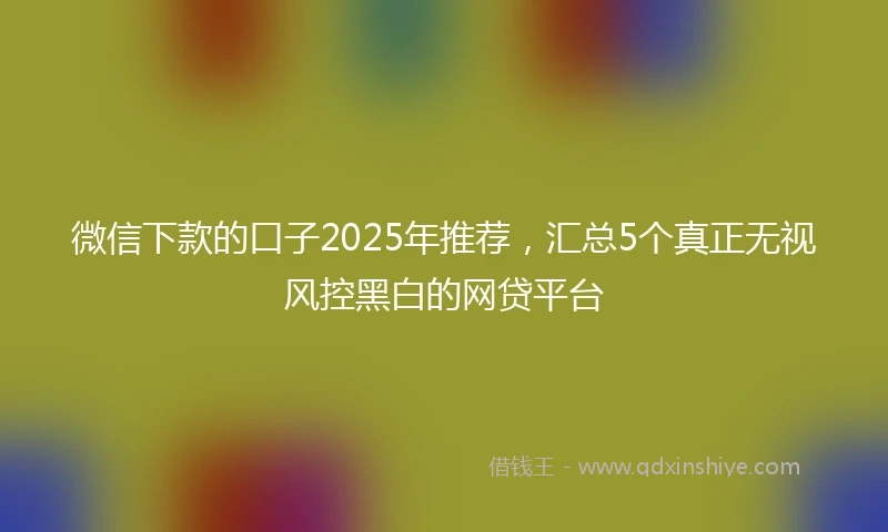 微信下款的口子2025年推荐，汇总5个真正无视风控黑白的网贷平台