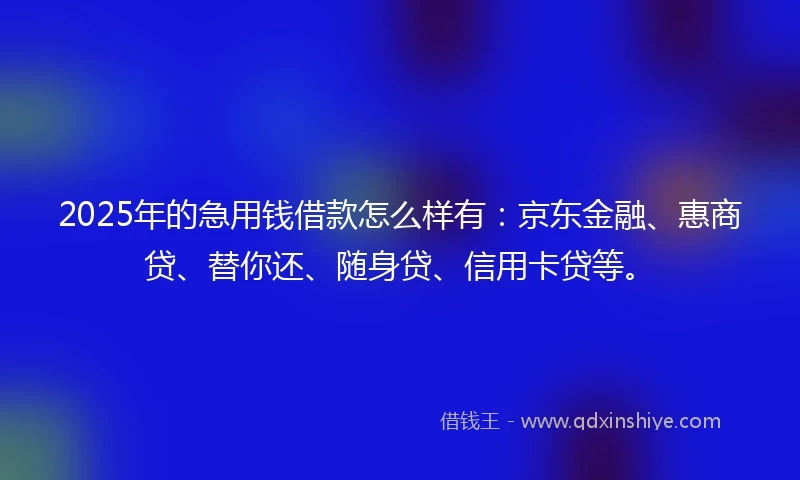 2025年的急用钱借款怎么样有：京东金融、惠商贷、替你还、随身贷、信用卡贷等。