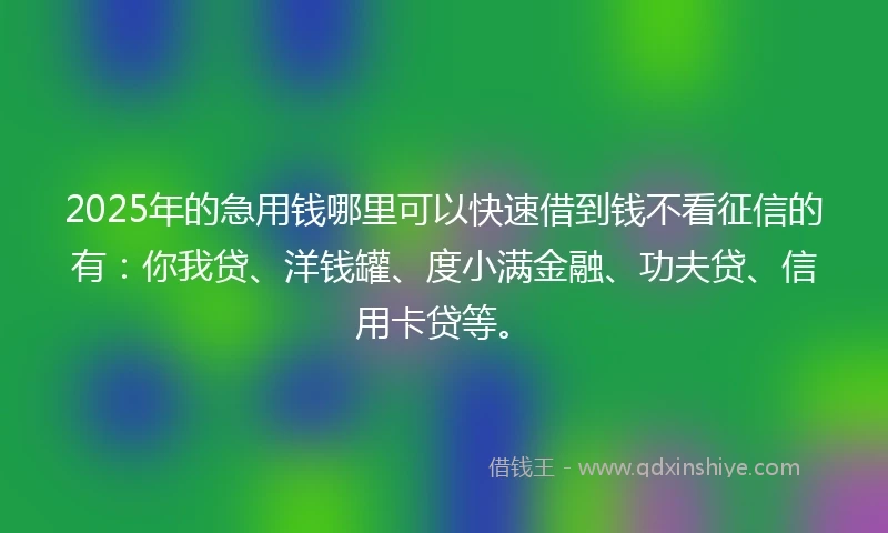 2025年的急用钱哪里可以快速借到钱不看征信的有：你我贷、洋钱罐、度小满金融、功夫贷、信用卡贷等。