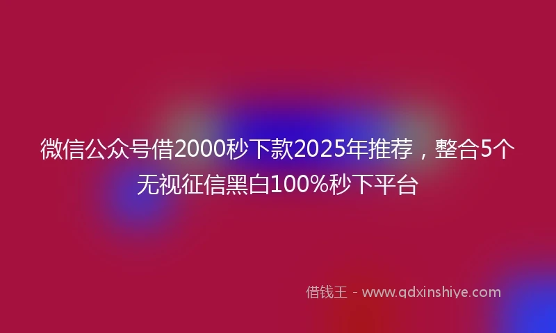 微信公众号借2000秒下款2025年推荐，整合5个无视征信黑白100%秒下平台