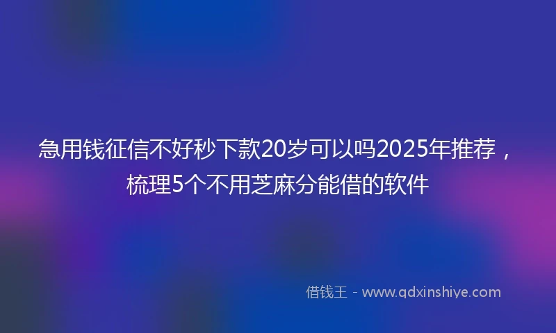 急用钱征信不好秒下款20岁可以吗2025年推荐，梳理5个不用芝麻分能借的软件