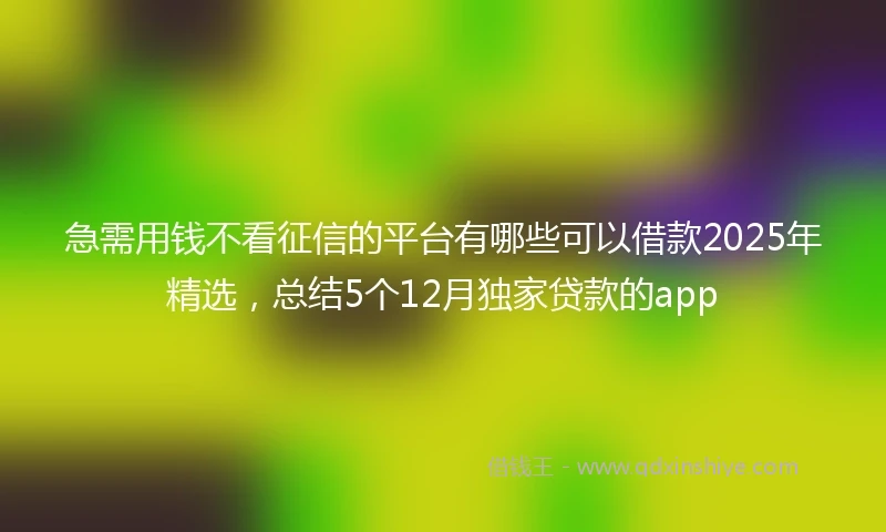 急需用钱不看征信的平台有哪些可以借款2025年精选，总结5个12月独家贷款的app