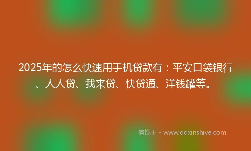 2025年的怎么快速用手机贷款有：平安口袋银行、人人贷、我来贷、快贷通、洋钱罐等。