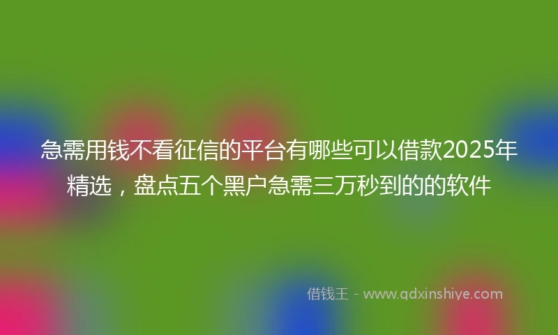 急需用钱不看征信的平台有哪些可以借款2025年精选，盘点五个黑户急需三万秒到的的软件