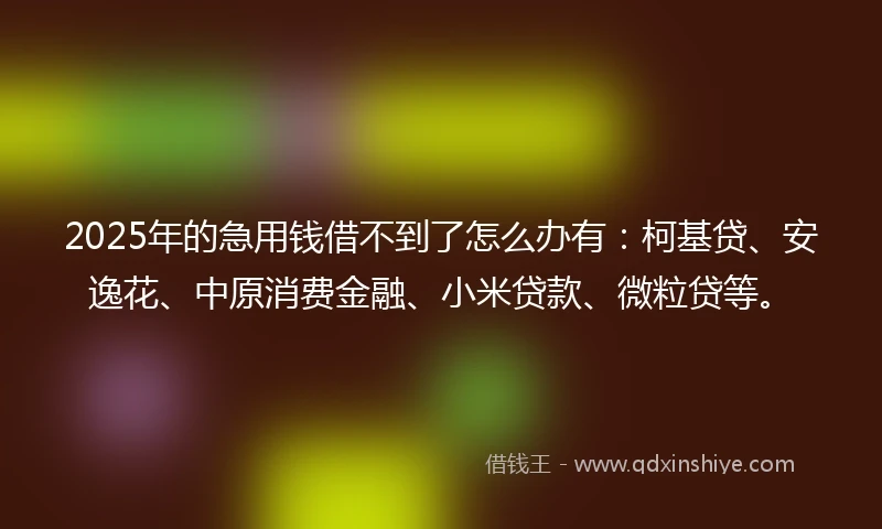 2025年的急用钱借不到了怎么办有：柯基贷、安逸花、中原消费金融、小米贷款、微粒贷等。