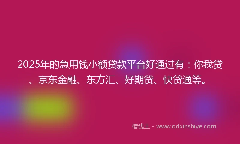 2025年的急用钱小额贷款平台好通过有：你我贷、京东金融、东方汇、好期贷、快贷通等。