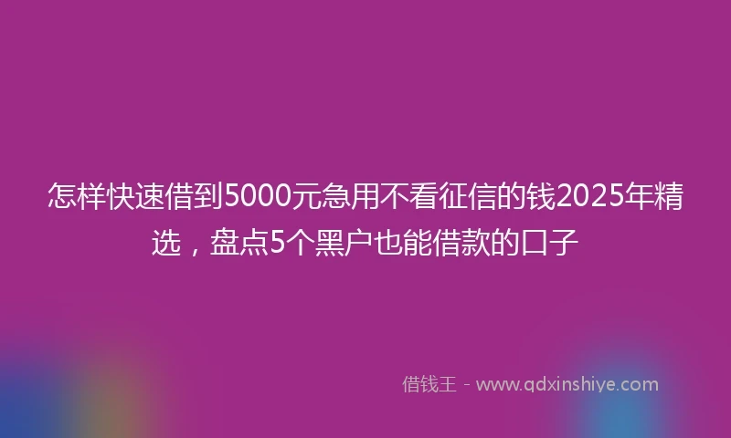 怎样快速借到5000元急用不看征信的钱2025年精选，盘点5个黑户也能借款的口子