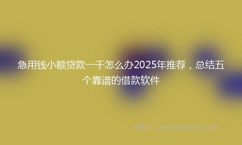 急用钱小额贷款一千怎么办2025年推荐,总结五个靠谱的借款软件