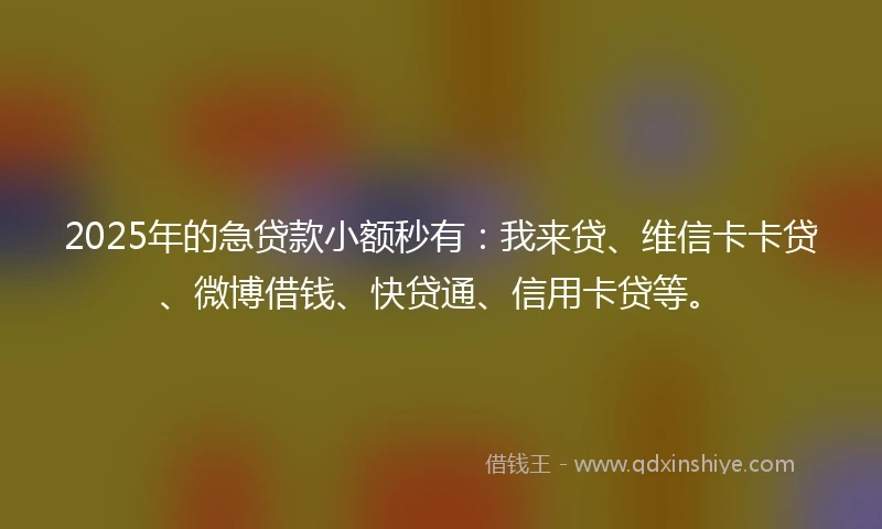 2025年的急贷款小额秒有:我来贷、维信卡卡贷、微博借钱、快贷通、信用卡贷等。