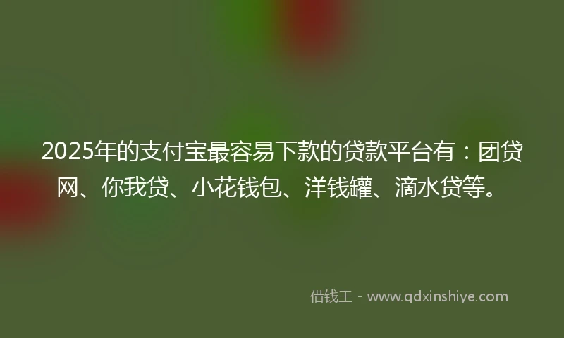 2025年的支付宝最容易下款的贷款平台有：团贷网、你我贷、小花钱包、洋钱罐、滴水贷等。