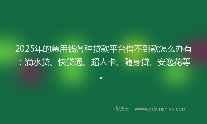 2025年的急用钱各种贷款平台借不到款怎么办有：滴水贷、快贷通、超人卡、随身贷、安逸花等。