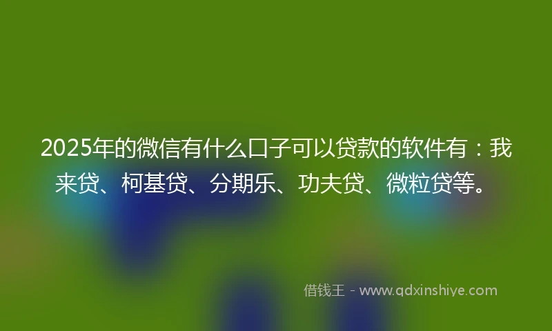 2025年的微信有什么口子可以贷款的软件有：我来贷、柯基贷、分期乐、功夫贷、微粒贷等。