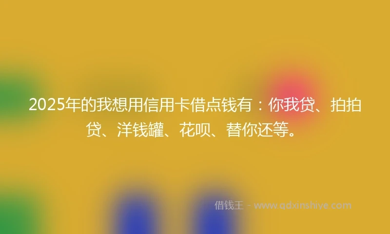 2025年的我想用信用卡借点钱有：你我贷、拍拍贷、洋钱罐、花呗、替你还等。
