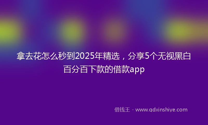 拿去花怎么秒到2025年精选，分享5个无视黑白百分百下款的借款app