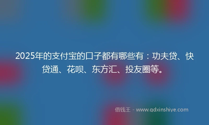 2025年的支付宝的口子都有哪些有：功夫贷、快贷通、花呗、东方汇、投友圈等。