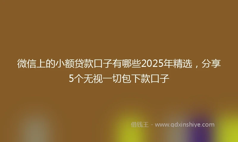 微信上的小额贷款口子有哪些2025年精选，分享5个无视一切包下款口子