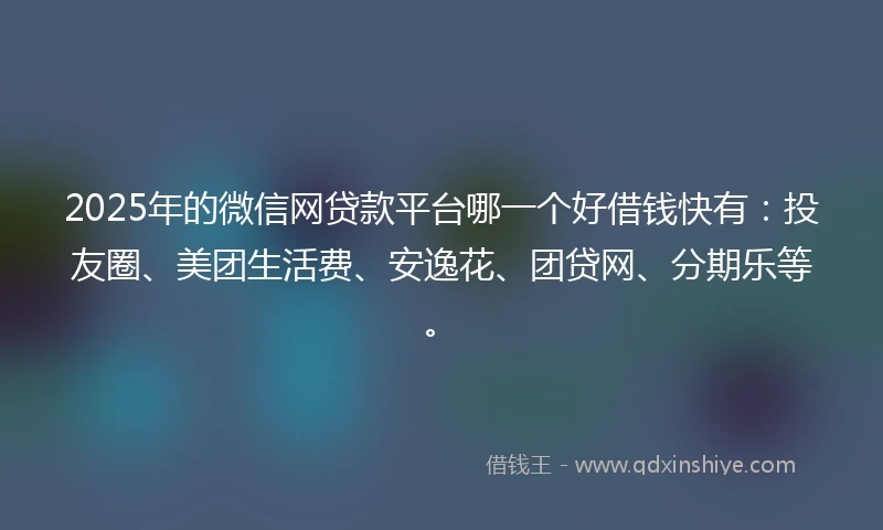 2025年的微信网贷款平台哪一个好借钱快有：投友圈、美团生活费、安逸花、团贷网、分期乐等。