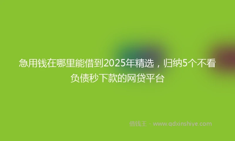 急用钱在哪里能借到2025年精选，归纳5个不看负债秒下款的网贷平台