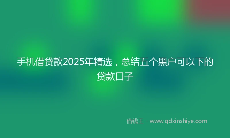 手机借贷款2025年精选，总结五个黑户可以下的贷款口子